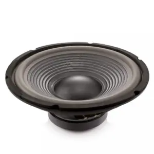 Difuzor HI-FI HOME 12" 305mm 150/300W 8 ohmi 30Hz-3kHz Carguard HSP005