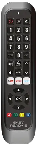 Telecomanda universala SAMSUNG LG SONY PHILIPS PANASONIC Easy Ready 5 1713 Jolly 1713EASYMJL20251215