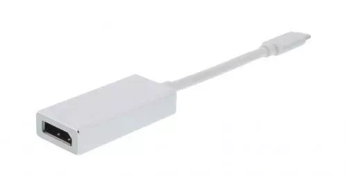 Adaptor USB Type C 3.1 la DisplayPort 4K 60Hz Well