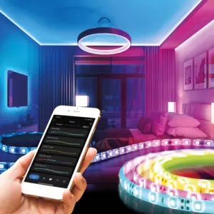 Banda LED inteligenta RGB SMD 30LED-uri/m 2x5m/pachet PHENOM
